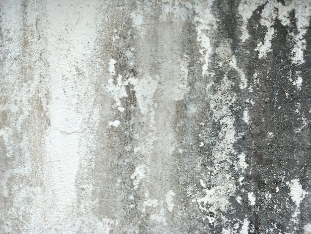 vieja textura Grunge, muro de hormigón gris