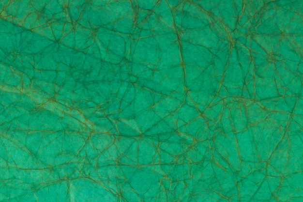 Foto vieja textura de papel arrugado verde