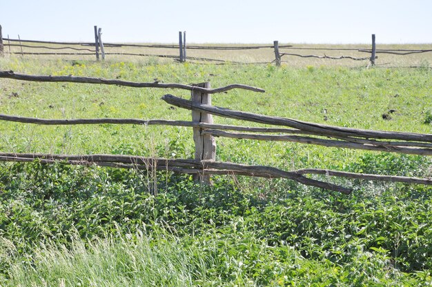 Foto vieja valla de madera de un rancho.