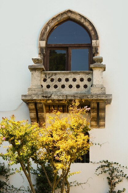 Vieja ventana de estilo otomano