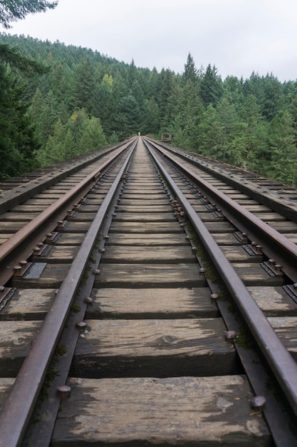 Vieja vía de tren abandonada