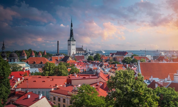 Viejas calles del centro de la ciudad de Tallin