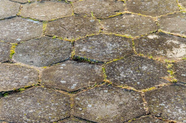 Viejas losas cubiertas de musgo y hierba textura de piedra closeup fondo