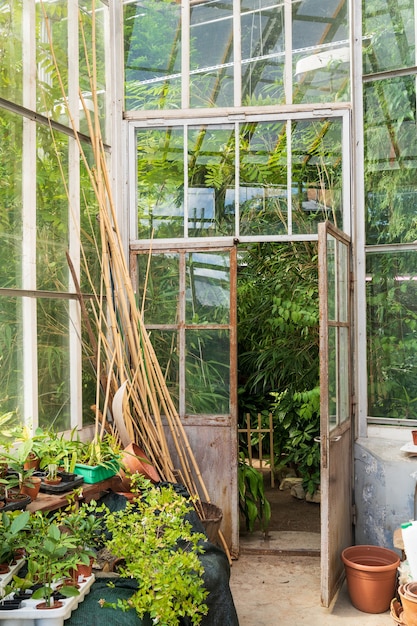 Viejas macetas de terracota vacías para plantas de interior que crecen fuera del invernadero con diferentes plantas tropicales