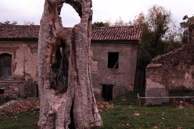 Foto viejas ruinas en el cementerio contra el cielo