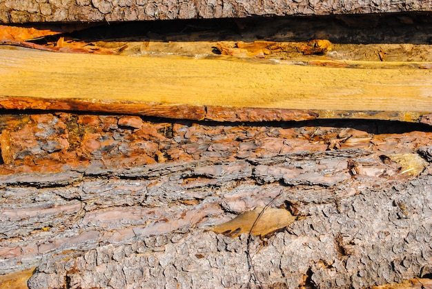 Viejas tablas de madera. Patrón natural, cualitativo. Textura