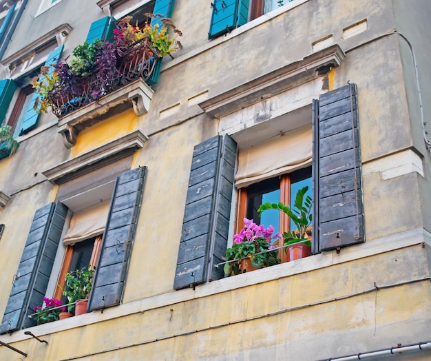 Viejas ventanas con flores en el alféizar