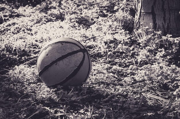 Viejo baloncesto en un prado