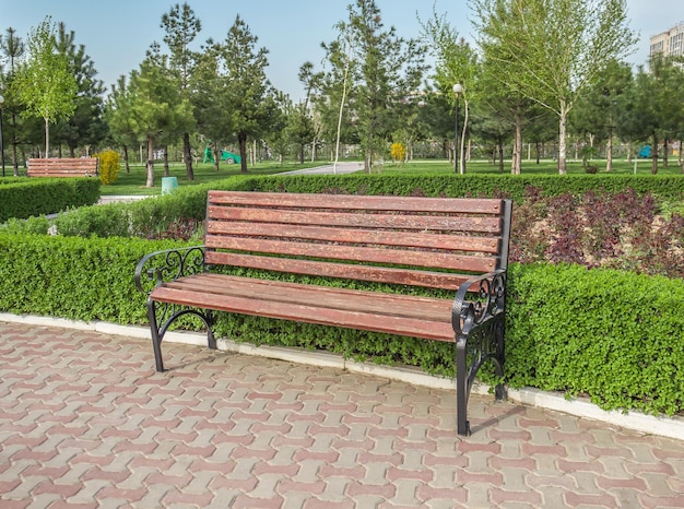 Viejo banco de madera en el parque en primavera