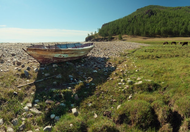 Foto viejo barco en la costa de guijarros en el lago baikal, pasto de caballos