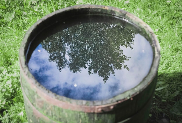 Viejo barril cubierto de musgo que refleja el cielo árboles y faroles