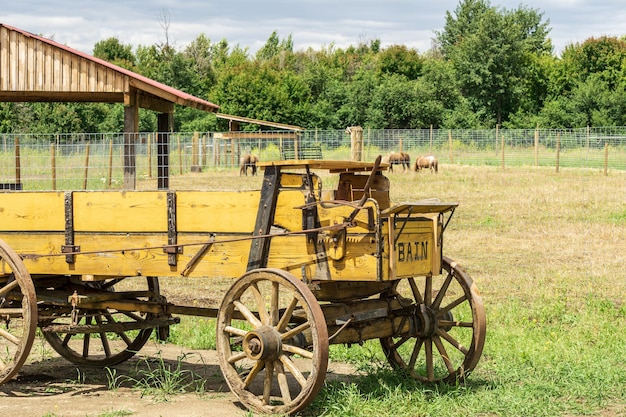 Viejo carro amarillo de madera en un campo verde de granja