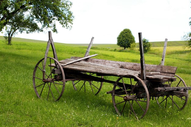 Viejo carro de madera sobre la hierba verde