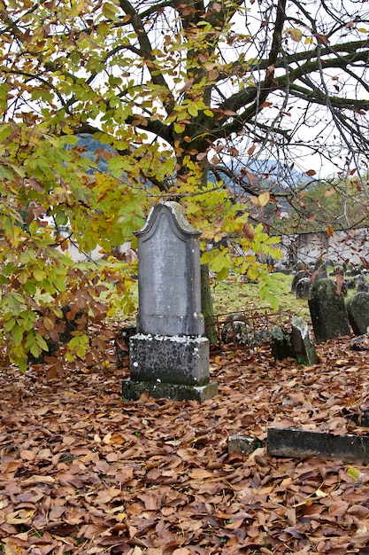 Viejo cementerio judío