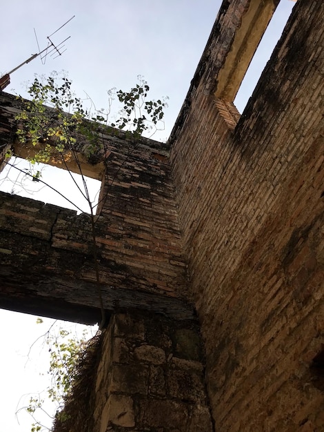 Viejo edificio abandonado, la naturaleza vuelve a crecer ladrillo