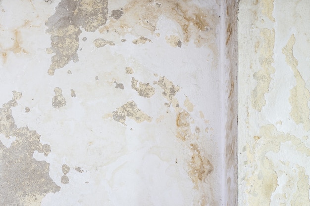 Foto un viejo edificio de pared blanca tiene una marca de agua seca o húmeda como una marca amarilla y grietas.