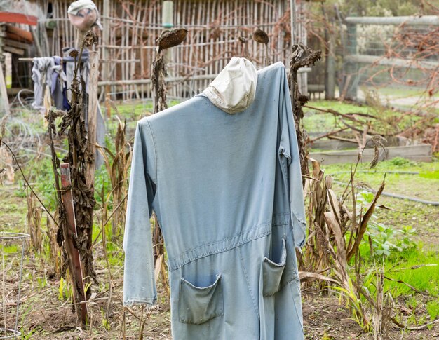 Viejo espantapájaros en huerta