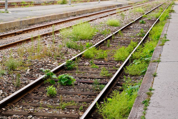 Viejo ferrocarril abandonado cubierto de hierba