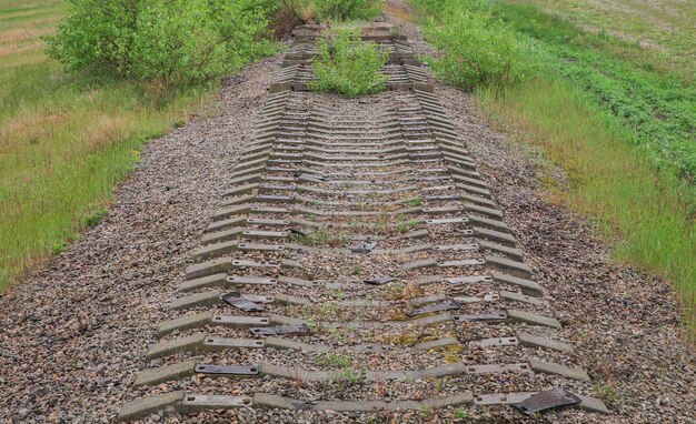 Foto viejo ferrocarril desmantelado cubierto de hierba