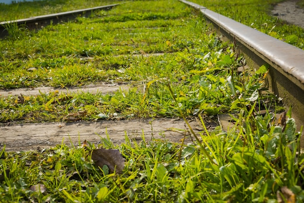 Viejo ferrocarril con hierba