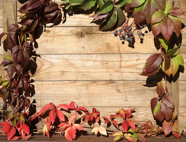 viejo fondo de madera con hojas rojas de otoño