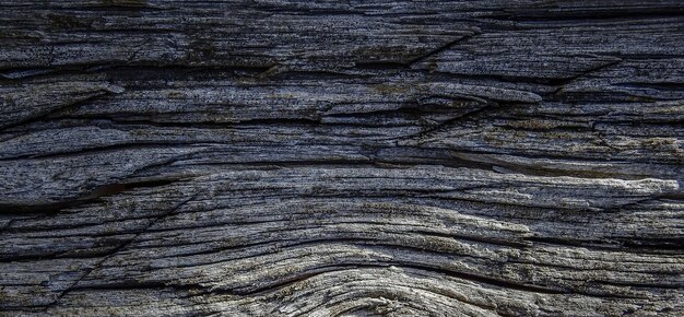 viejo fondo de madera con textura