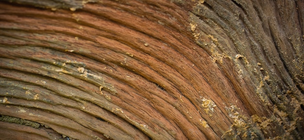 Foto viejo fondo de madera