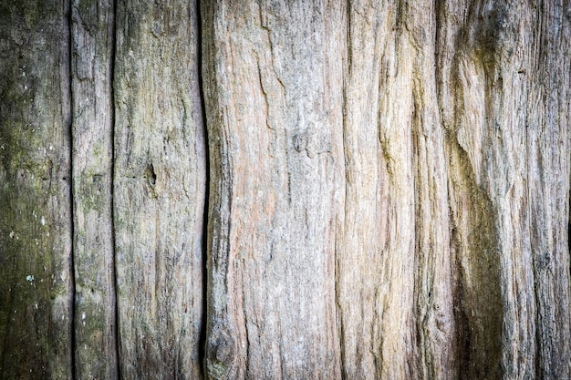 viejo fondo de madera