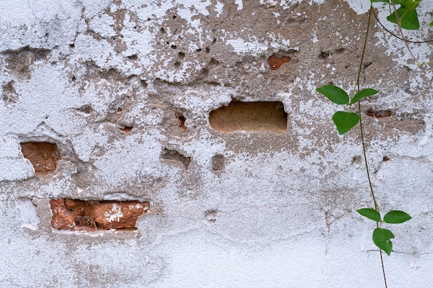 Viejo fondo de textura de hormigón blanco grunge