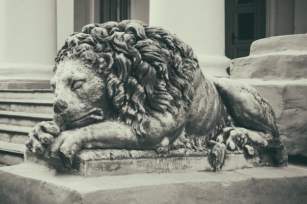 Viejo león de piedra vintage en los escalones del edificio antiguo