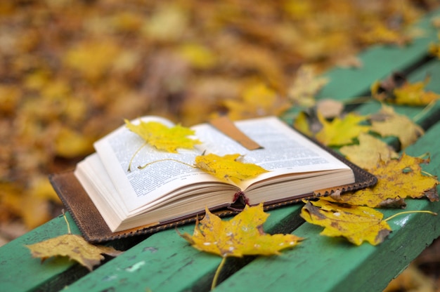 Viejo libro está acostado en un banco con hojas caídas en el parque de otoño