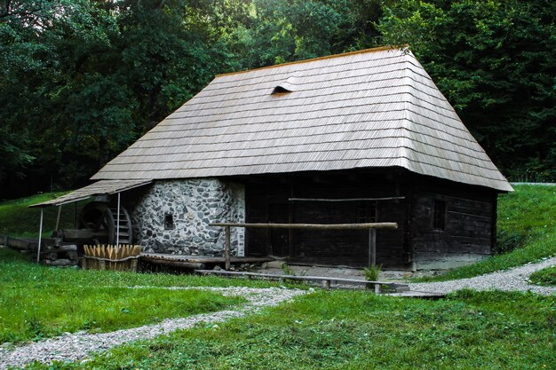 Un viejo molino en el bosque