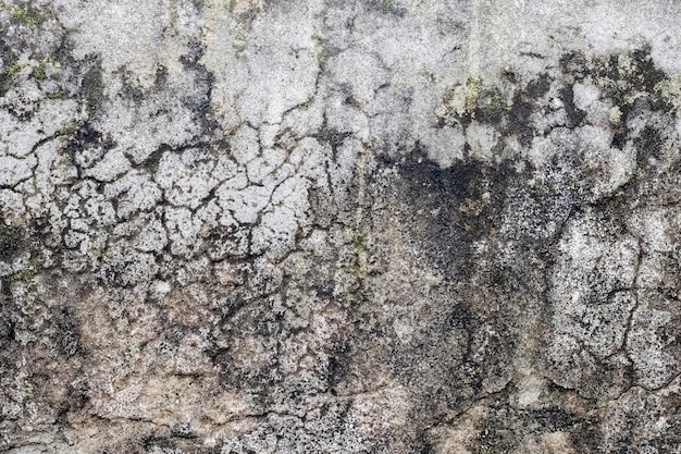 Viejo muro de hormigón sucio dañado con musgo y destrucción