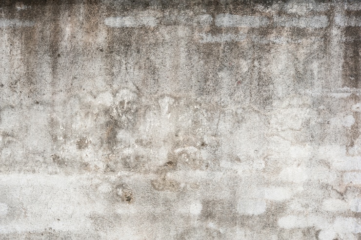 Foto viejo muro de hormigón