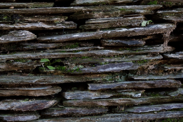 viejo muro de pizarra negro