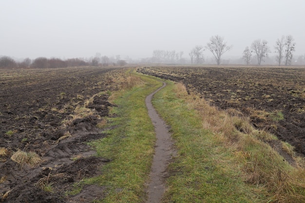 Viejo país y camino brumoso a finales de otoño.