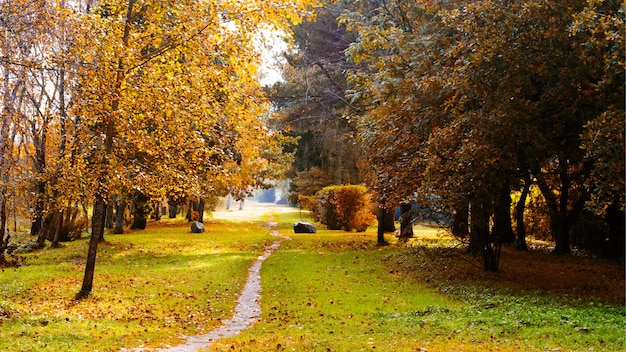 Viejo parque en otoño