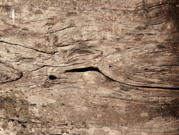 Viejo piso de madera para diseño gráfico o papel tapiz