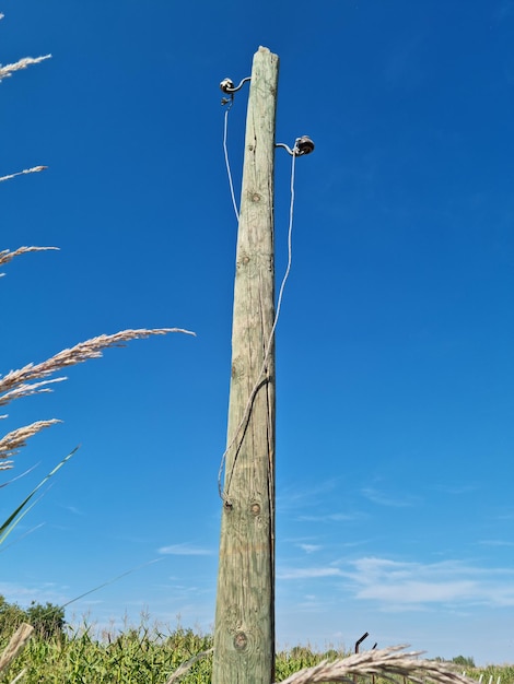 Viejo poste eléctrico de madera con cielo azul