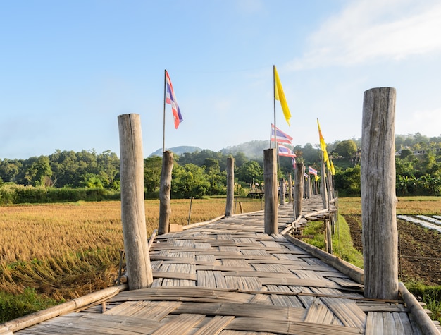 Viejo puente de bambú pasa el campo de arroz al templo