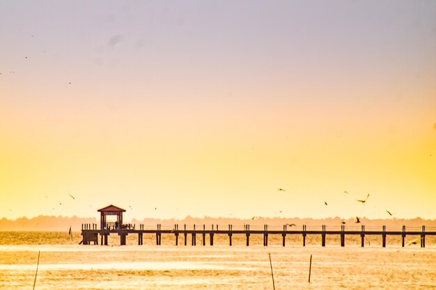 Viejo puente de madera muelle nadie contra la hermosa naturaleza atardecer cielo fondo natural telón de fondo y mar segull volando