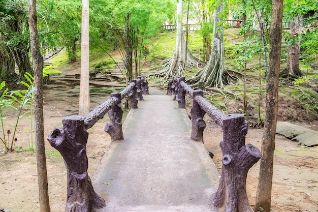 Viejo puente de madera en la selva tropical húmeda