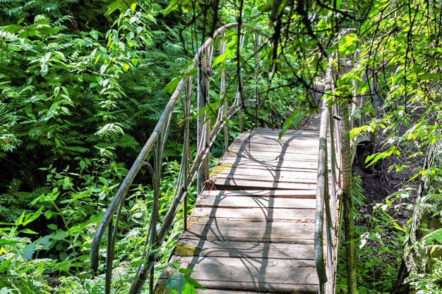 Viejo puente de madera con soportes de metal calado en el soleado bosque siberiano Un abandonado cubierto