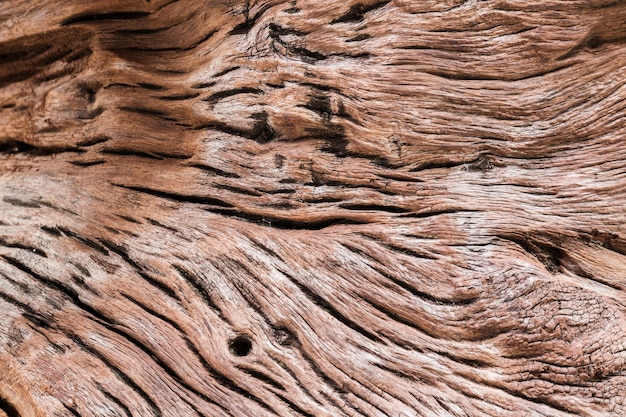 Foto viejo rústico y fondo de textura de línea de madera de curva