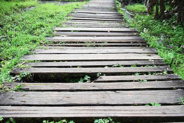 Viejo y sucio puente de madera roto en camino