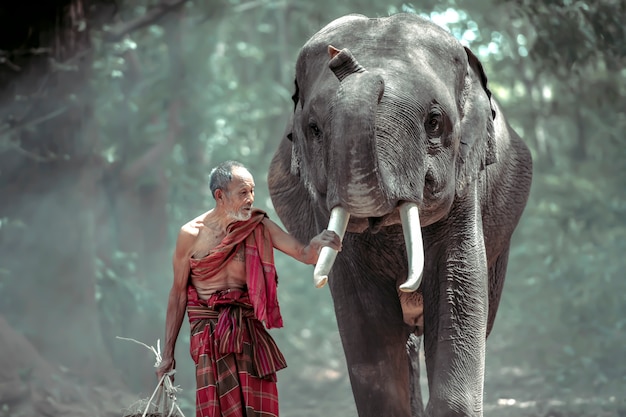 Viejo tailandés caminando a casa con elefante después de que el trabajo se realiza desde el bosque