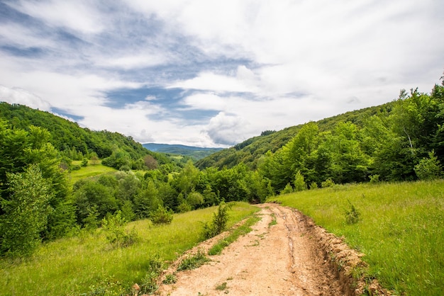 Viejo con terrenos caros en el campo sobre un fondo de árboles verdes y hermosos paisajes de montañas