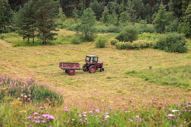 Viejo tractor de pie en un campo