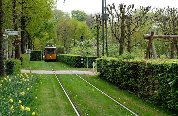 Viejo tranvía holandés en una zona rural cerca de amsterdam