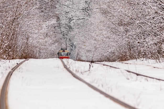 Un viejo tranvía moviéndose a través de un bosque de invierno